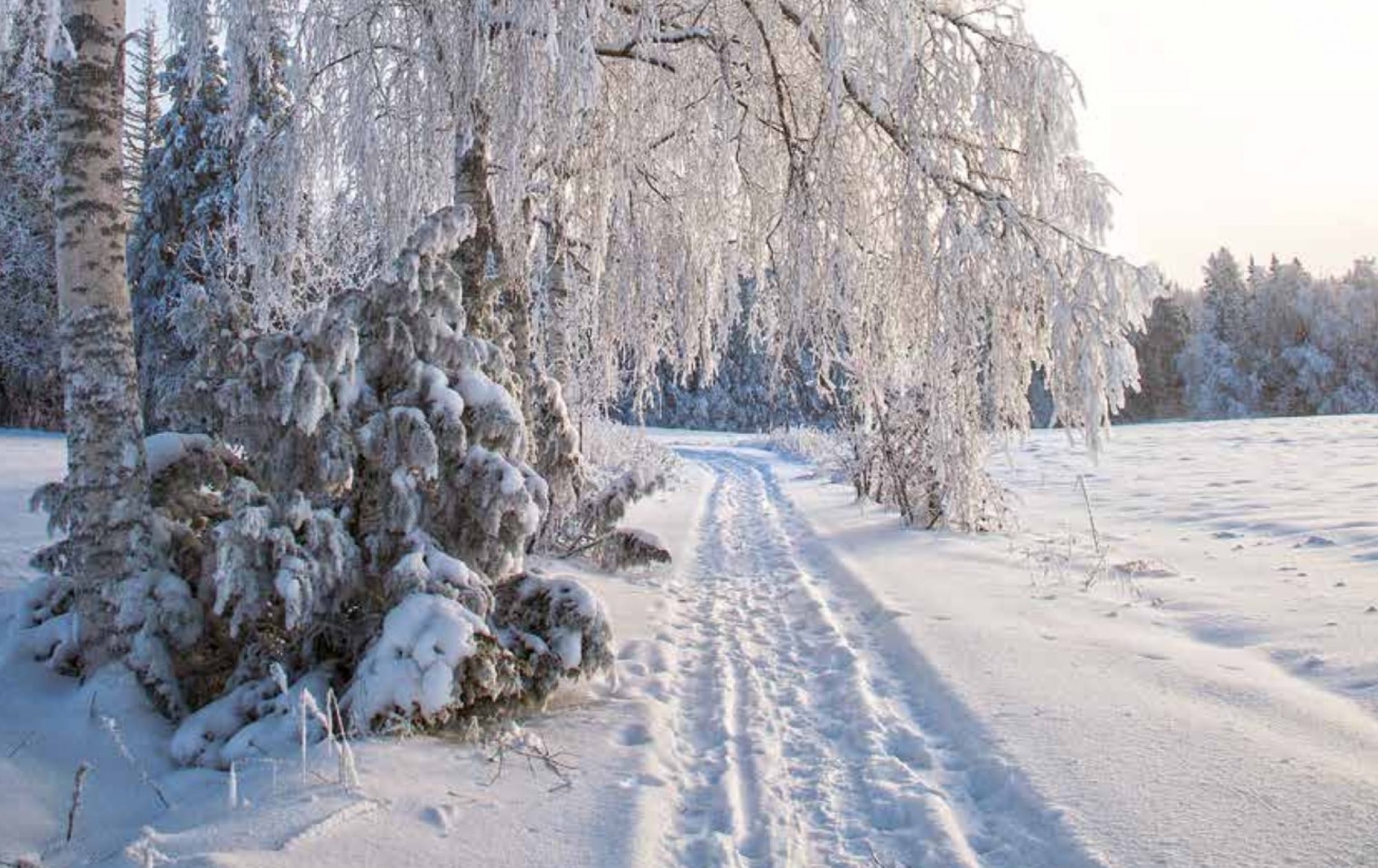 HÄMEENKYRÖ-SEURA RY